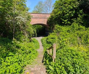 Steps with a wooden handrail lead down to a path under the bridge at Pilley Bridge Nature Reserve