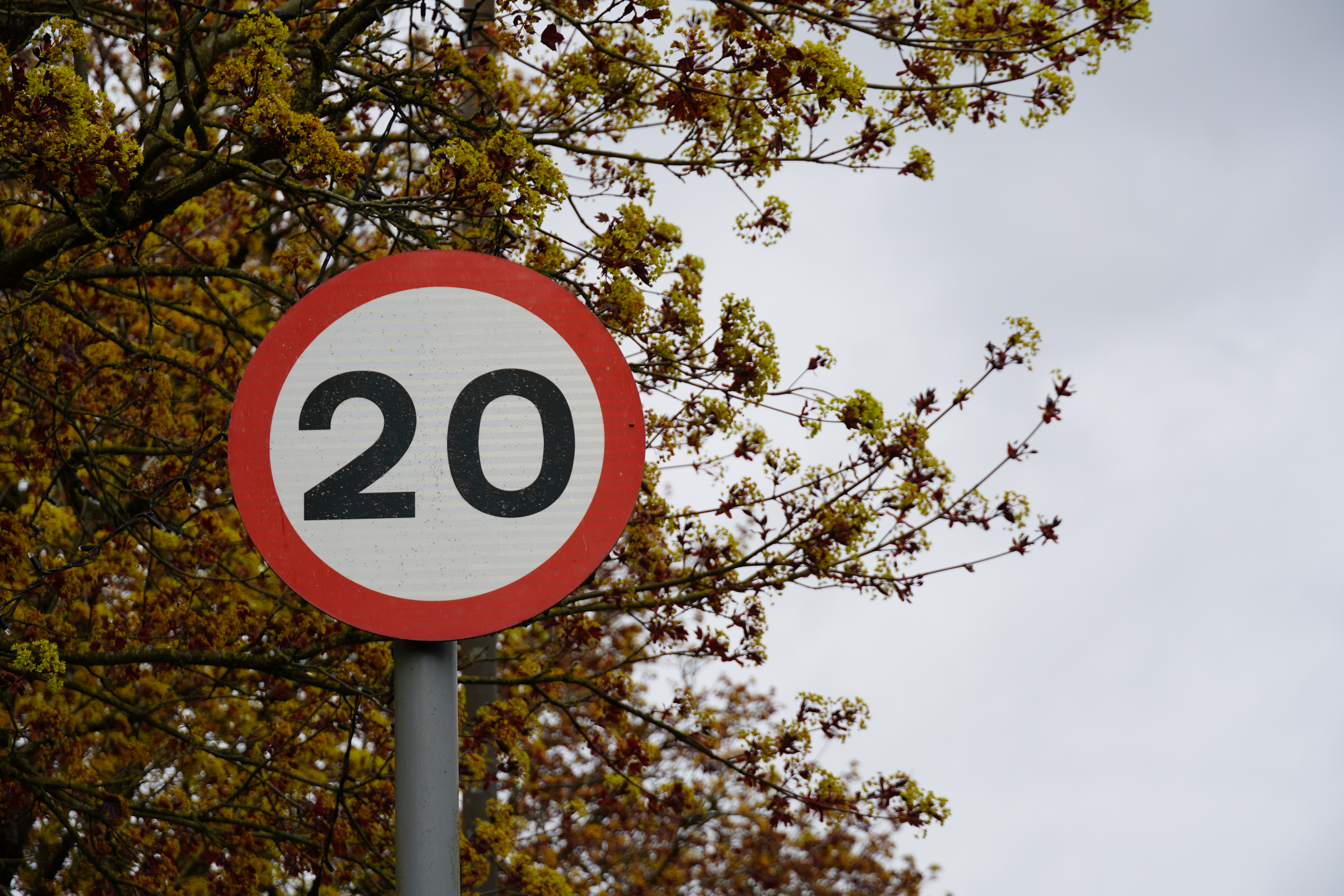Safer Roads6
