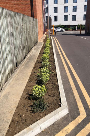 Planting at entrance to High Street car park
