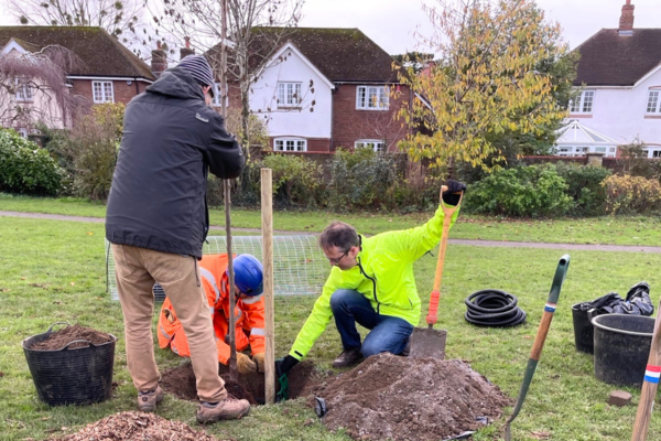 Over 130 new trees planted across Cheltenham