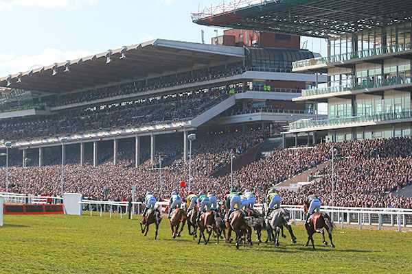 Preparations well underway for an enjoyable Cheltenham Festival 2026